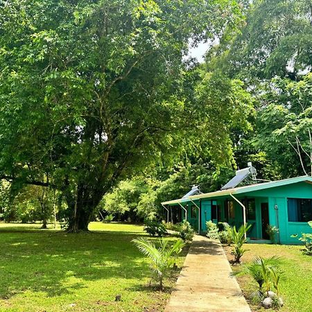 The Secret Eco Lodge Tortuguero Exterior foto