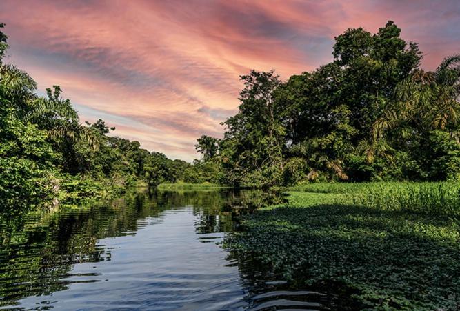 The Secret Eco Lodge Tortuguero Exterior foto