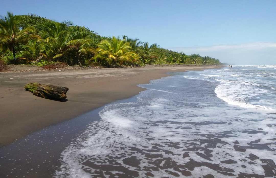 The Secret Eco Lodge Tortuguero Exterior foto