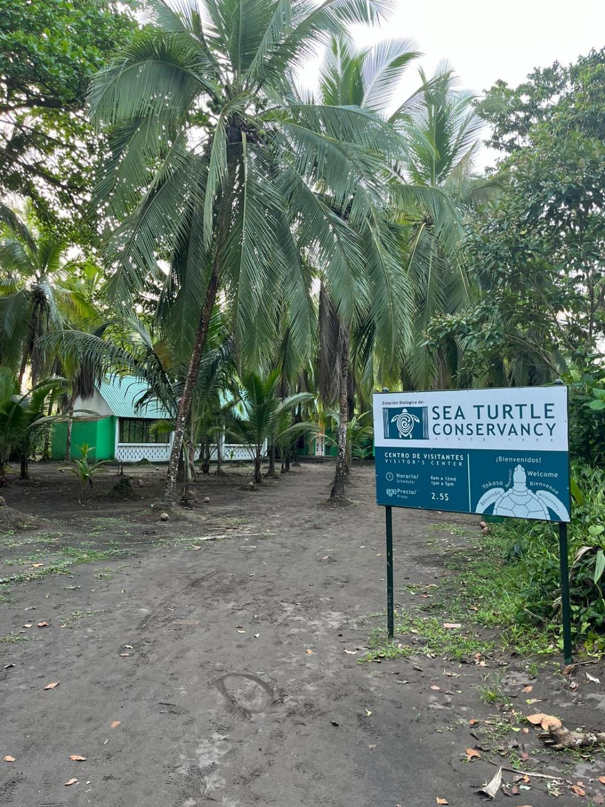 The Secret Eco Lodge Tortuguero Exterior foto