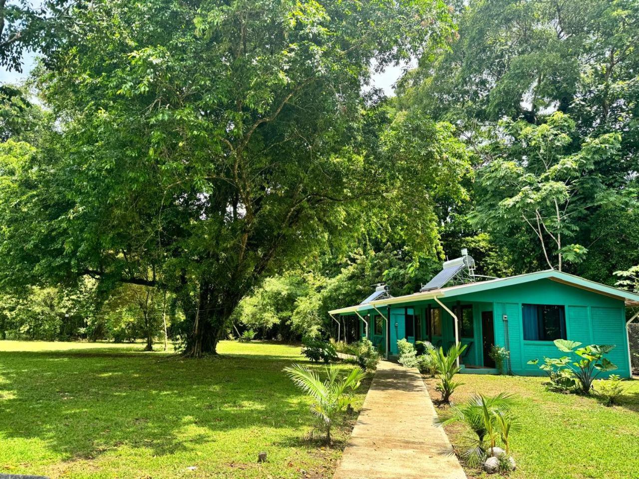 The Secret Eco Lodge Tortuguero Exterior foto