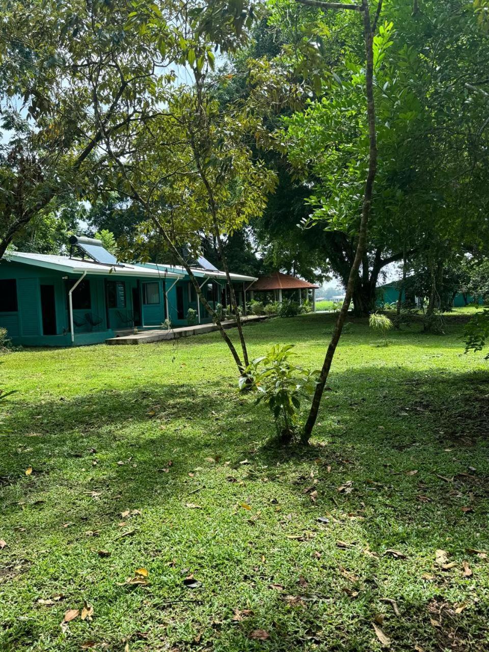 The Secret Eco Lodge Tortuguero Exterior foto